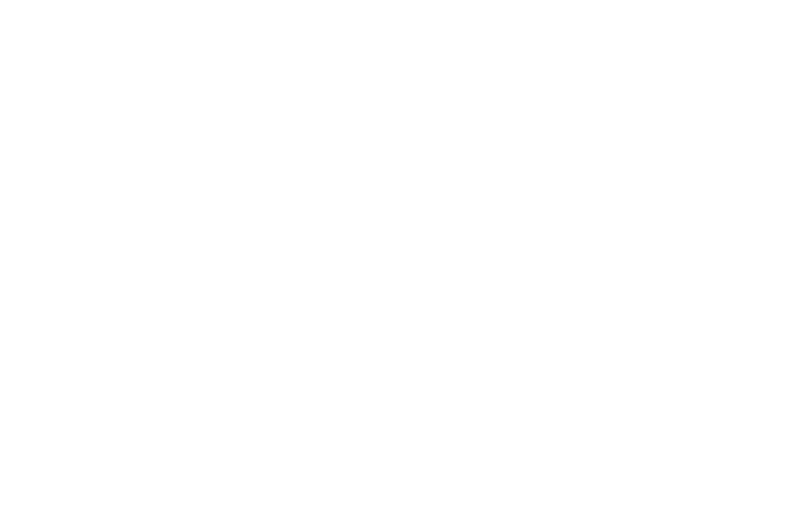 laya_Logo_white-01